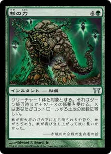 《杉の力/Strength of Cedars》[CHK] 緑U