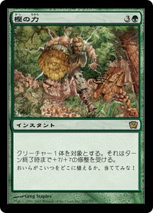 《樫の力/Might of Oaks》[9ED] 緑R