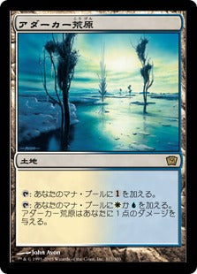 《アダーカー荒原/Adarkar Wastes》[9ED] 土地R