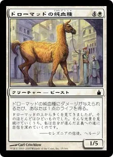 《ドローマッドの純血種/Dromad Purebred》[RAV] 白C
