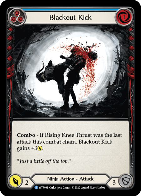 Blackout Kick (3)