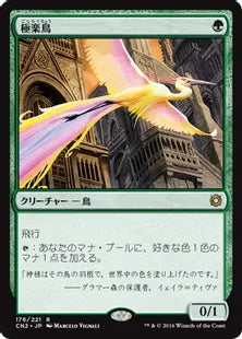 《極楽鳥/Birds of Paradise》[CN2] 緑R