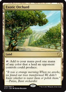 《風変わりな果樹園/Exotic Orchard》[C17] 土地R