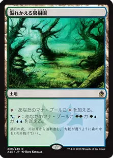 《溢れかえる果樹園/Flooded Grove》[A25] 土地R
