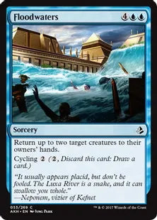 《大水/Floodwaters》[AKH] 青C