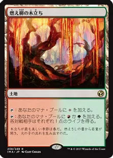 《燃え柳の木立ち/Grove of the Burnwillows》[IMA] 土地R