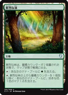 《鮮烈な林/Vivid Grove》[C17] 土地U