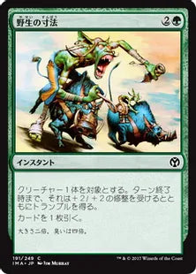 《野生の寸法/Wildsize》[IMA] 緑C